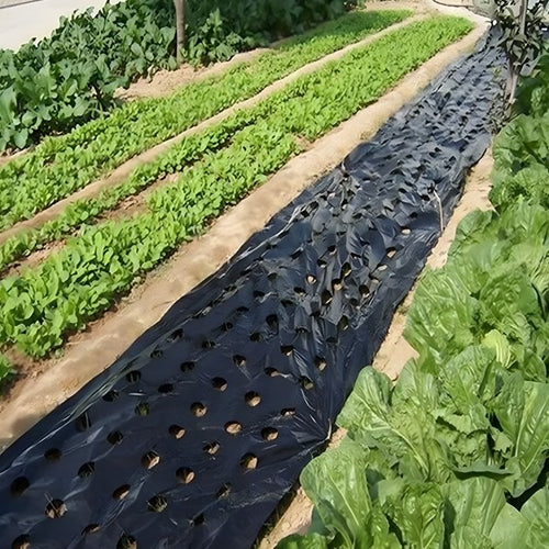 Bariera anti-buruieni grădină (0,95x10m)