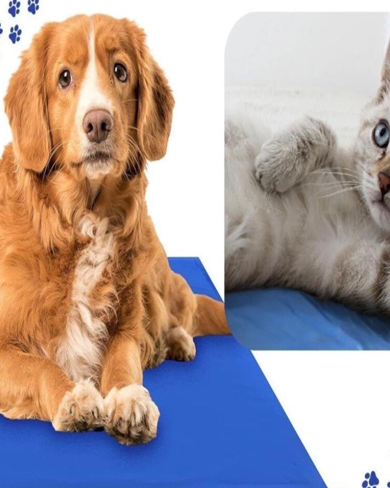 Covoraș Anti-Căldură cu Gel Termic pentru Animale